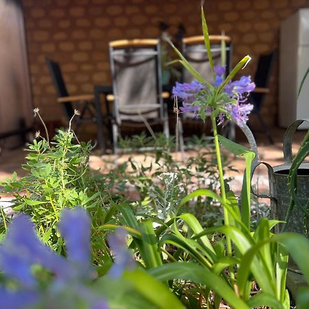 ダンズボローAcacia Retreatアパートメント エクステリア 写真